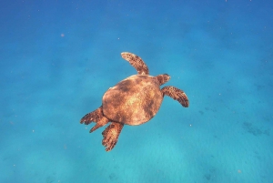 Oahu: Probeer duiken vanaf de kust