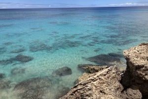 Oahu: Prueba a bucear desde la costa
