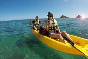 Kailua: Explore Kailua em um passeio guiado de caiaque com almoço