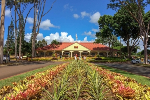 Oahu: Ultieme Pearl Harbor en Circle Island Tour