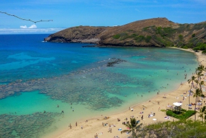 Oahu: Ultieme Pearl Harbor en Circle Island Tour