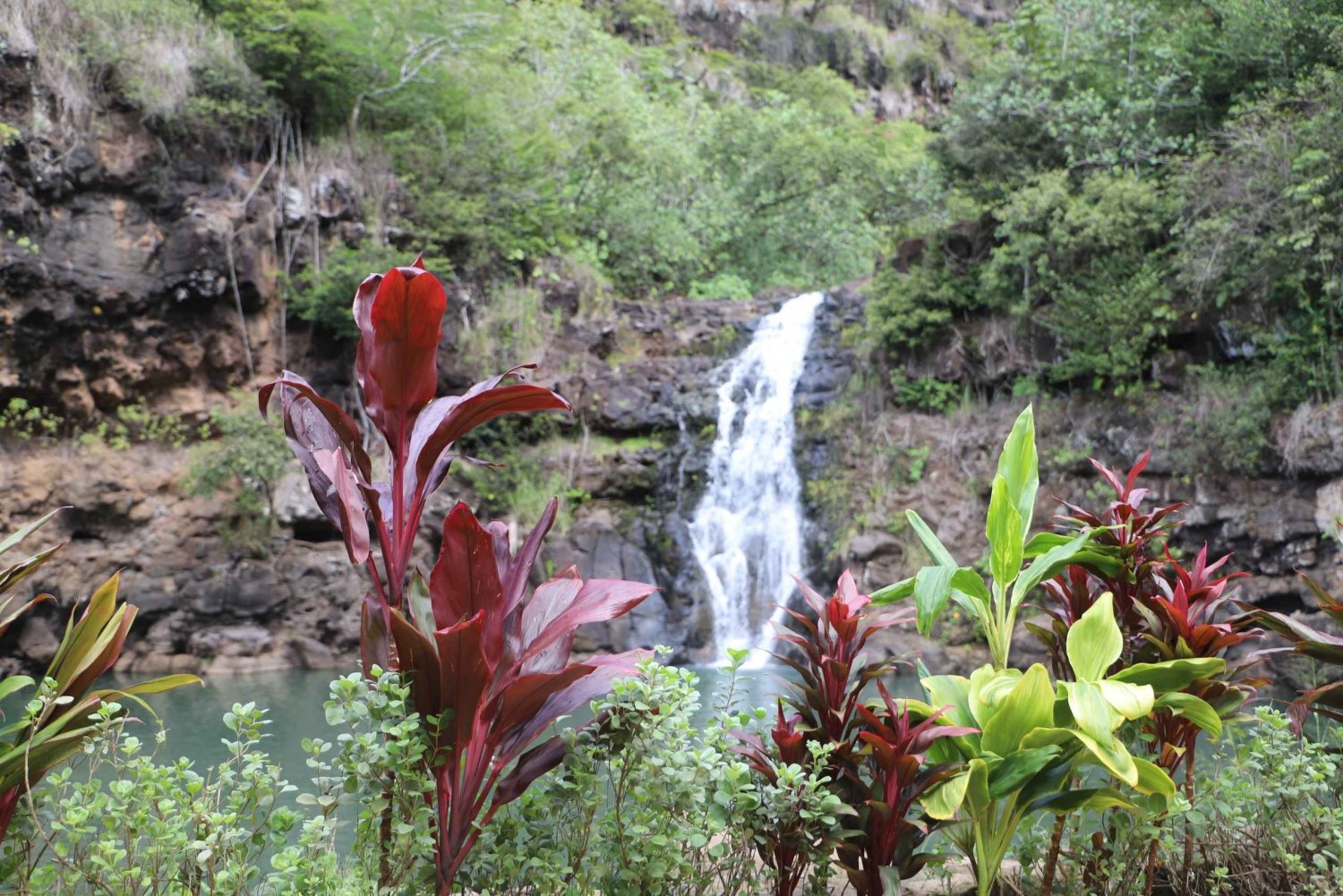 Oahu: Nado y Caminata por el Valle de las Cascadas de Waimea con Comida y Dole