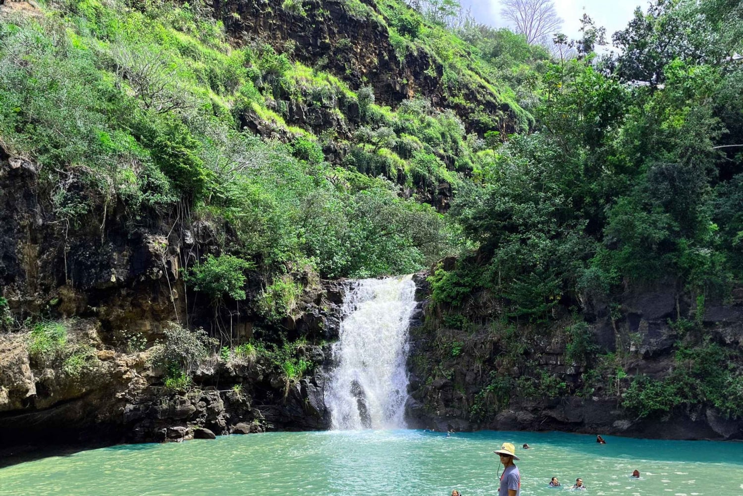 Oahu: Valley of Waimea Falls Swim & Hike med frokost og Dole