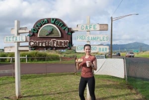 Oahu: Valley of Waimea Falls Swim & Hike con pranzo e Dole