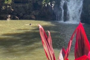 Oahu: Valley of Waimea Falls nadar e caminhar com almoço e Dole