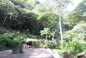 Oahu: Valley of Waimea Falls Pływanie i wędrówki z lunchem i zasiłkiem