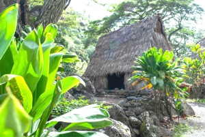 Oahu: Valley of Waimea Falls Swim & Hike med frokost og Dole