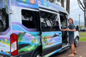 Oahu: Valley of Waimea Falls Swim & Hike med frokost og Dole