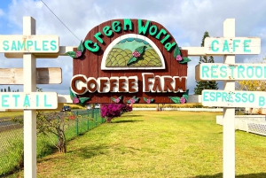 Oahu: Valley of Waimea Falls Swim & Hike med frokost og Dole