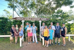 Oahu: Valley of Waimea Falls Swim & Hike med frokost og Dole