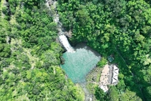Oahu: Valley of Waimea Falls Swim & Hike med frokost og Dole