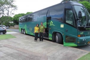 Oahu: Waikele Premium Outlets Roundtrip Bus From Waikiki