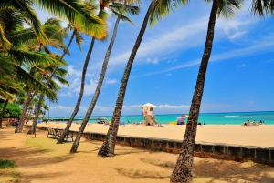 Oahu: Waikiki Beach Hoverboard Tour