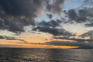Oahu: Waikiki Beach Oahu & Diamond Head Sunset Cruise