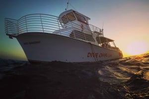 Oahu : Croisière pyrotechnique du vendredi soir à Waikiki (BYOB)