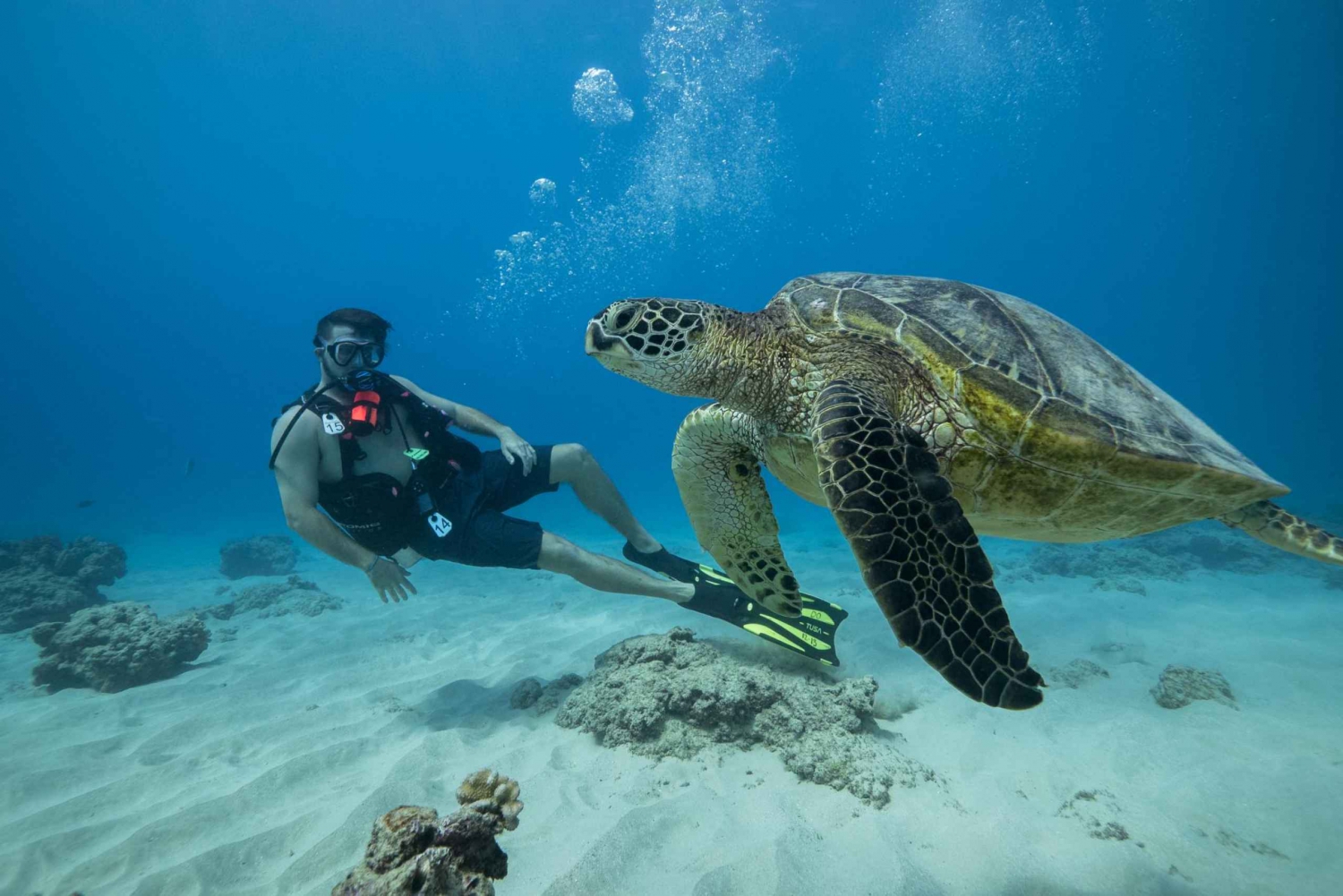 Oahu: Waikiki Discovery Scuba Diving for nybegynnere