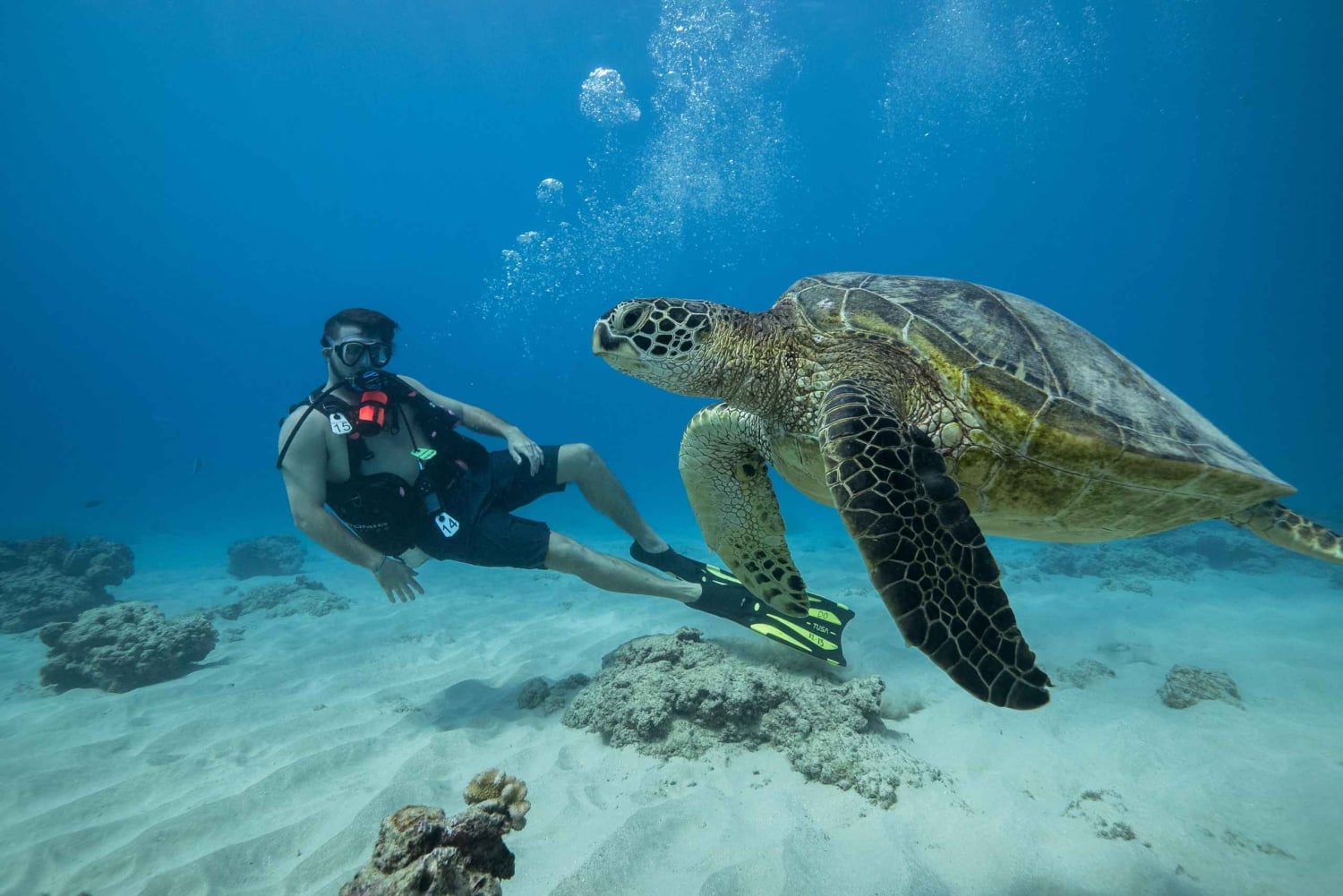 Oahu: Waikiki Discovery Mergulho para principiantes