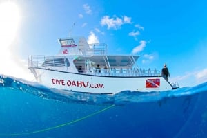 Oahu: Waikiki Discovery Scuba Diving para iniciantes