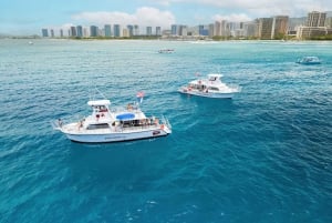 Oahu: Waikiki Discovery Scuba Diving für Anfänger