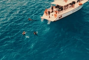 Oahu: Waikiki Discovery Scuba Diving für Anfänger