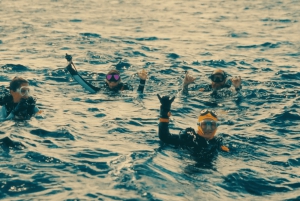 Oahu: Waikiki Discovery Mergulho para principiantes