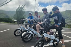 Oahu: Waikiki E-Bike Ride en Manoa Falls Hike