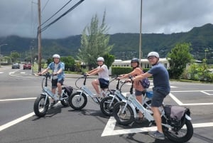 Oahu: jazda rowerem elektrycznym Waikiki i wycieczka do wodospadu Manoa
