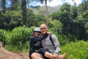 Oahu: Waikiki E-Bike Ride och Manoa Falls Hike