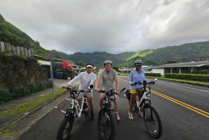 オアフ島ワイキキEサイクリングとマノア滝ハイキング