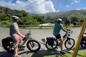 オアフ島ワイキキEサイクリングとマノア滝ハイキング