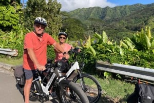 オアフ島ワイキキEサイクリングとマノア滝ハイキング
