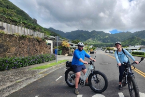 オアフ島ワイキキEサイクリングとマノア滝ハイキング