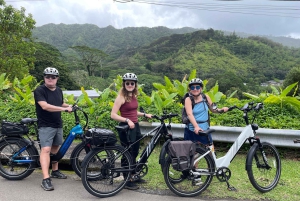 オアフ島ワイキキEサイクリングとマノア滝ハイキング