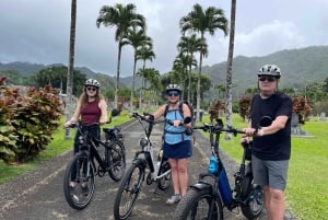 オアフ島ワイキキEサイクリングとマノア滝ハイキング