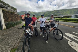 オアフ島ワイキキEサイクリングとマノア滝ハイキング