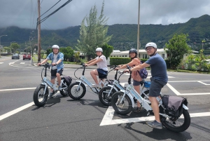 Oahu: Waikiki E-Bike-Fahrt und Manoa Falls-Wanderung