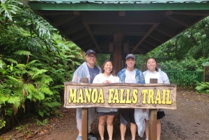 Oahu: Waikiki E-Bike-Fahrt und Manoa Falls-Wanderung