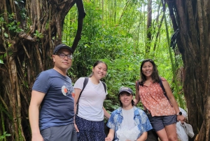 Oahu: Waikiki E-Bike-Fahrt und Manoa Falls-Wanderung