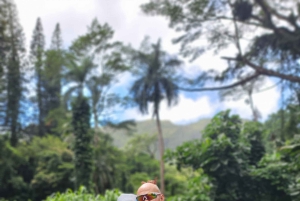 Oahu: Waikiki E-Bike-Fahrt und Manoa Falls-Wanderung