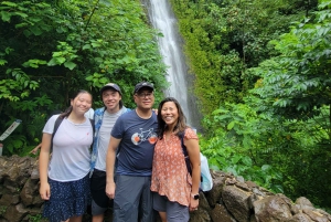 Oahu: Waikiki E-Bike-Fahrt und Manoa Falls-Wanderung
