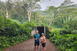 Oahu: Waikiki E-Bike-Fahrt und Manoa Falls-Wanderung