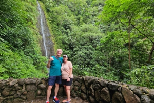 Oahu: Waikiki E-Bike-Fahrt und Manoa Falls-Wanderung