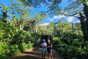 Oahu: Waikiki E-Bike-Fahrt und Manoa Falls-Wanderung
