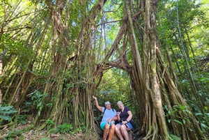 Oahu: Waikiki E-Bike-Fahrt und Manoa Falls-Wanderung