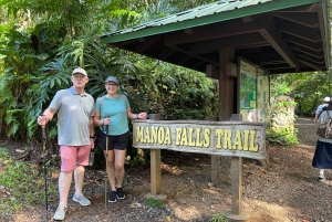 Oahu: Waikiki E-Bike-Fahrt und Manoa Falls-Wanderung