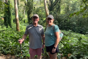 Oahu: Waikiki E-Bike-Fahrt und Manoa Falls-Wanderung