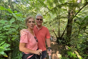 Oahu: Waikiki E-Bike-Fahrt und Manoa Falls-Wanderung