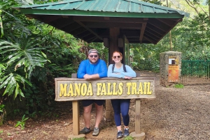 Oahu: Waikiki E-Bike-Fahrt und Manoa Falls-Wanderung