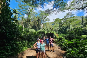 Oahu: Waikiki E-Bike-Fahrt und Manoa Falls-Wanderung