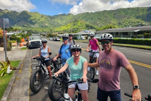 Oahu: Waikiki E-Bike-Fahrt und Manoa Falls-Wanderung